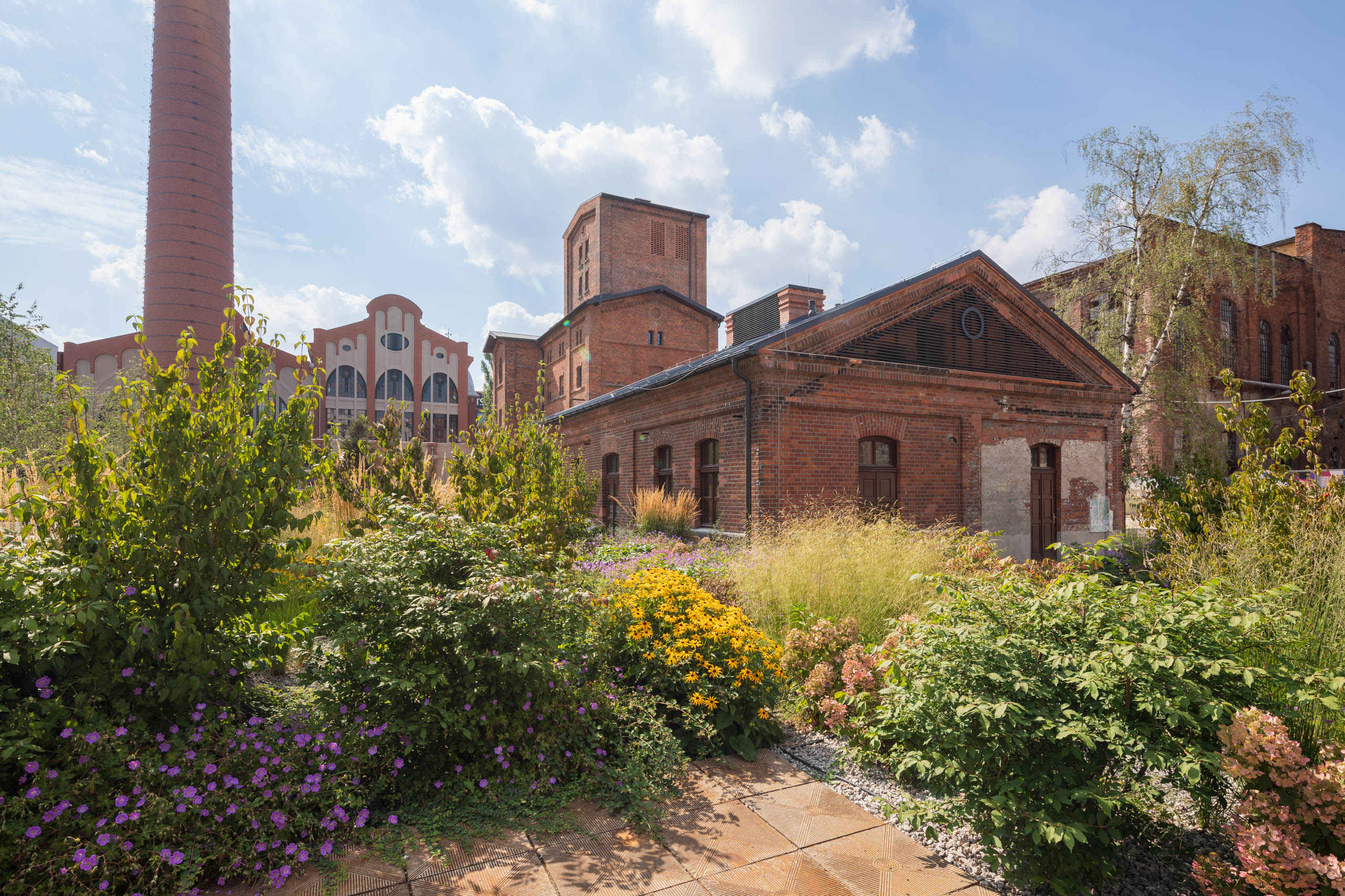 FUZJA fot. Rafał Tomczyk